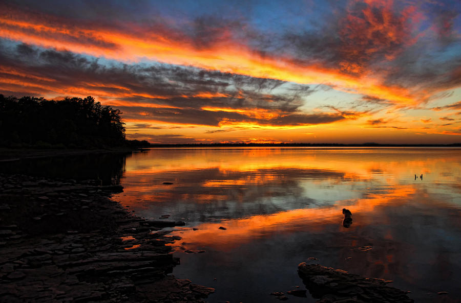 Perfectly Pretty Photograph By Carolyn Fletcher - Fine Art America