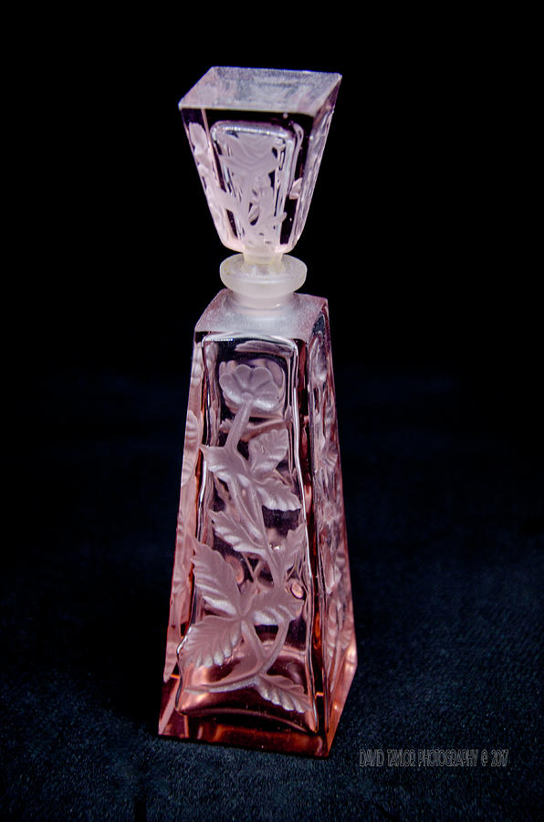 Bottle Photograph - Perfume Bottle Collection_6 by David Taylor
