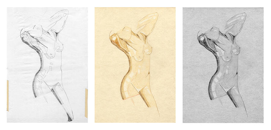 Perfume of Venus - Triptych - Homage Rodin Drawing by David Hargreaves
