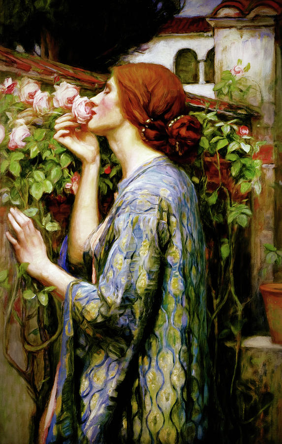 Perfumed Soul Of A Rose Mixed Media by Georgiana Romanovna