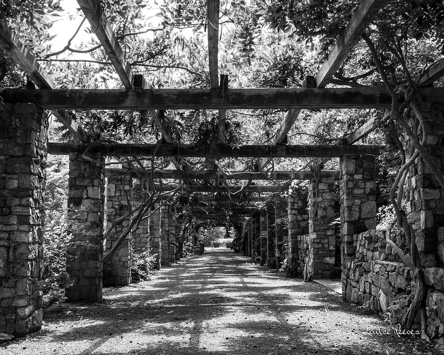 Pergola in Perspective Photograph by Louise Reeves