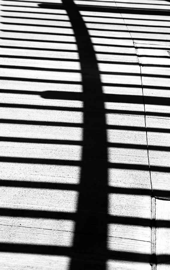 Pergola Shadow Photograph by Mary Bedy