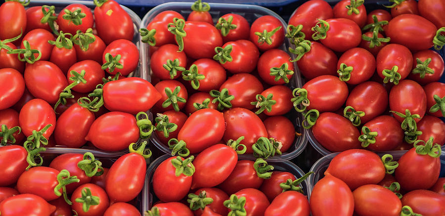 Perino tomatoes Photograph by Jocelyn Kahawai