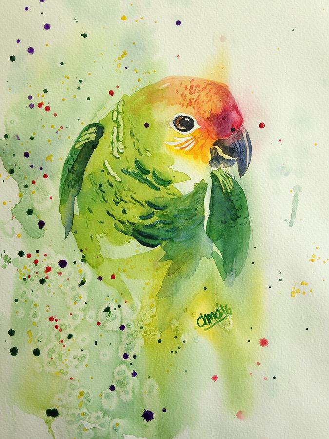 Animal Painting - Periquito on the rocks by Diego Casillas Animal Painting - Periquito on the rocks by Diego Casillas
