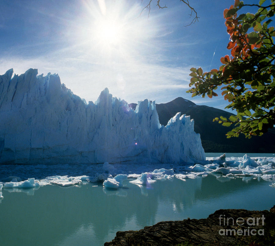 Perito Moreno Glacier, Argentina Photograph by Jan Halaska