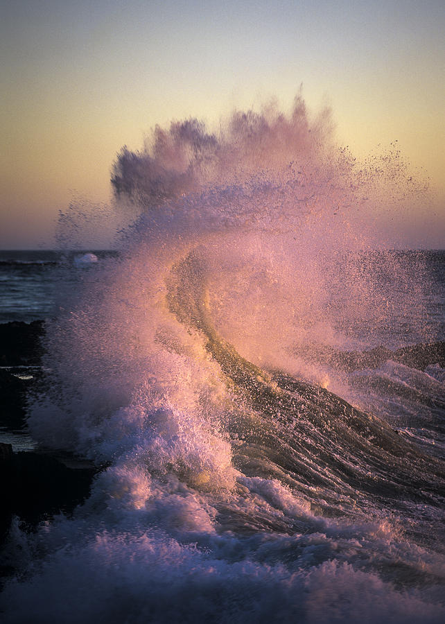 Perpetua Splash Photograph by Robert Potts