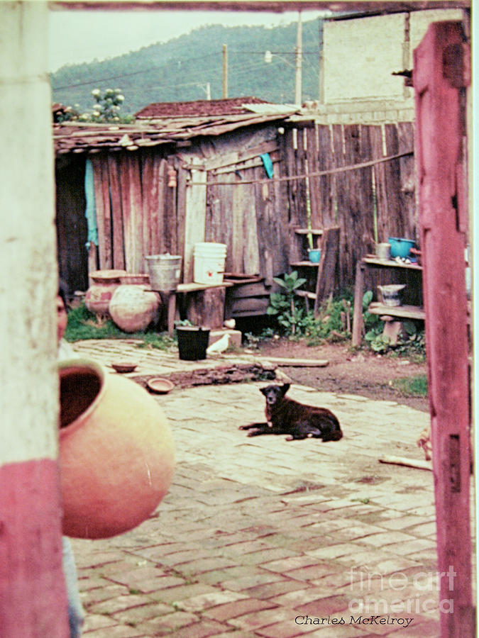 Perro on the Patio by Charles McKelroy Perro on the Patio by Charles McKelroy