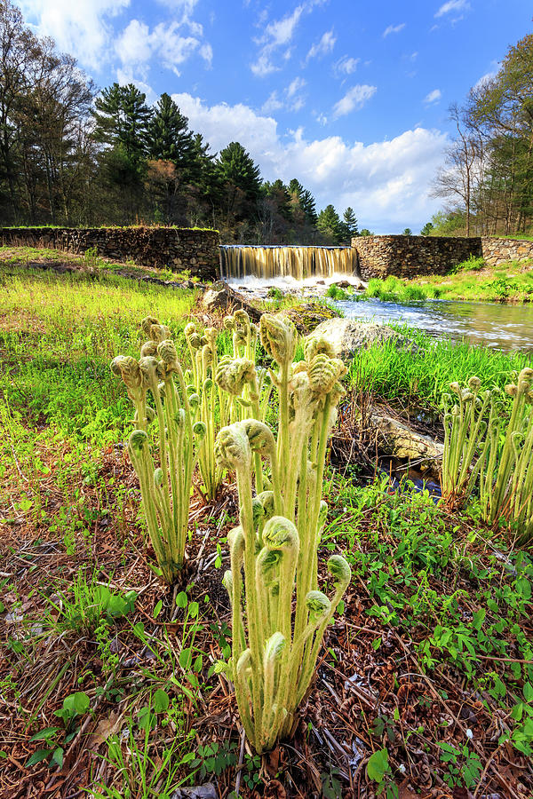 Perryville Spring Photograph by Bryan Bzdula