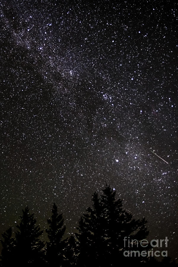 Perseid Meteor and Milky Way Photograph by Thomas R Fletcher