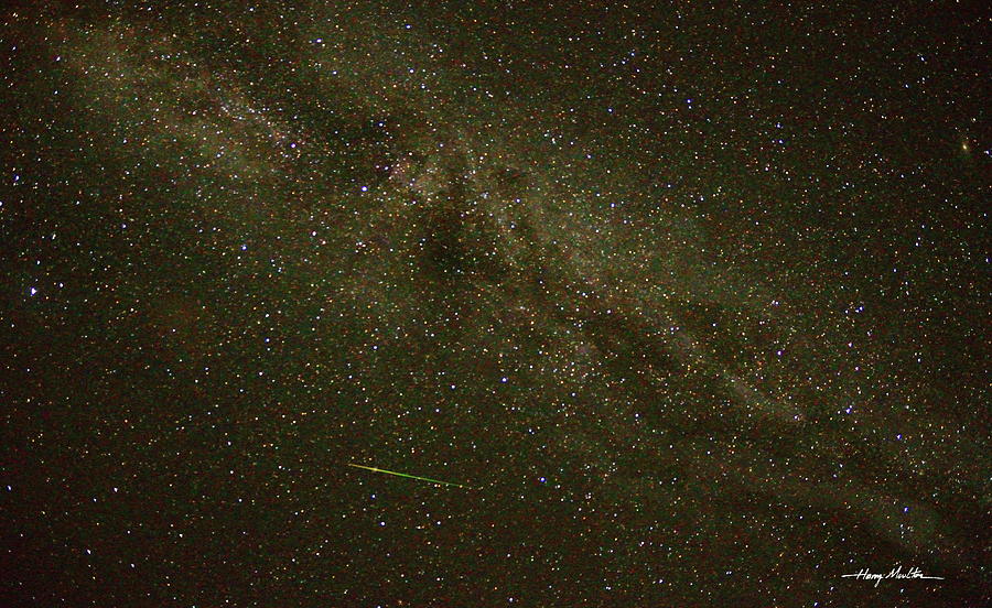 Perseid Meteor Photograph by Harry Moulton