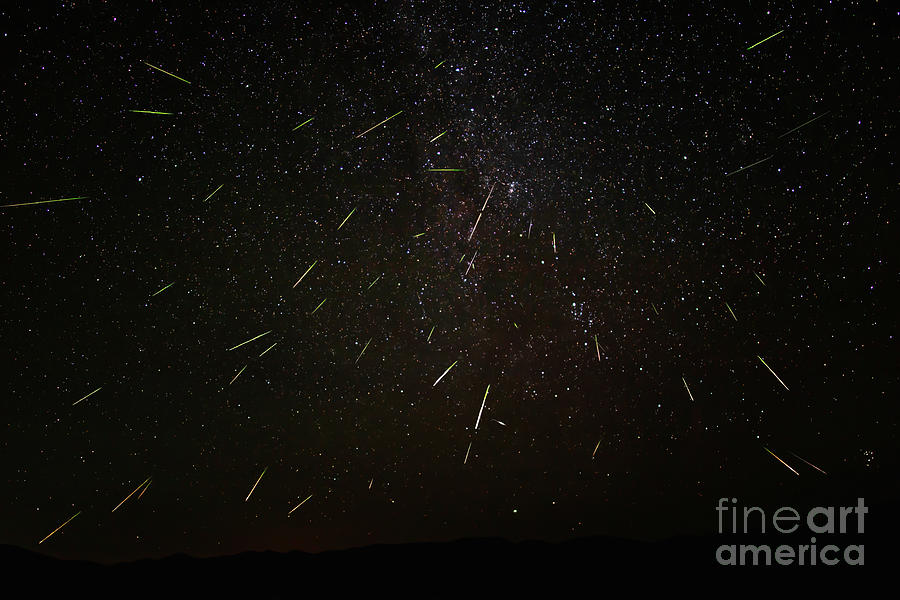 Perseid Meteors Photograph by Mark Jackson