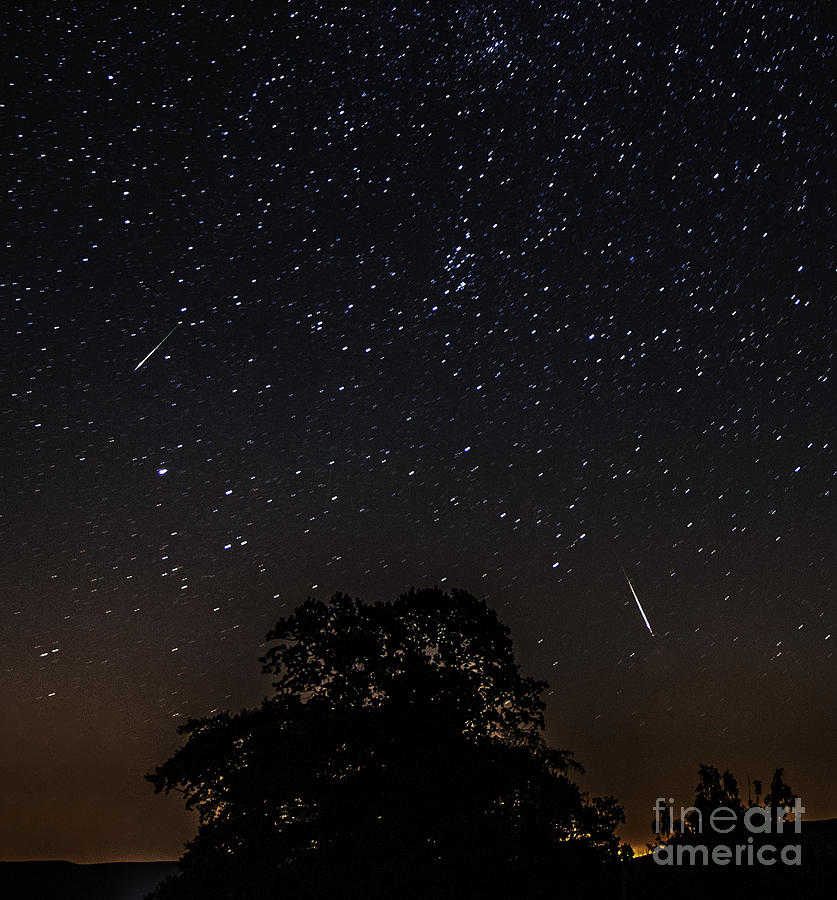 Meteors Photograph - Perseids Meteors by Sandra Cockayne ADPS