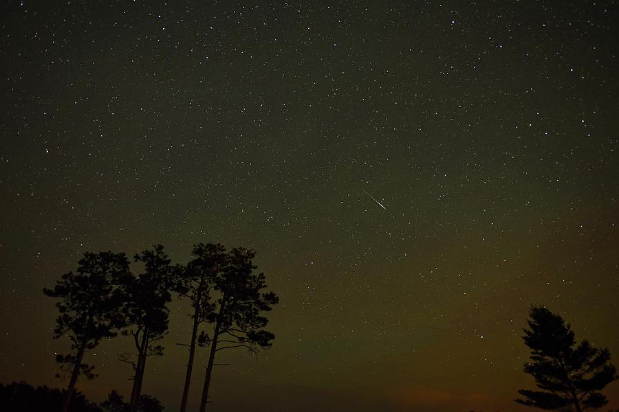 Perseids Presence Photograph by Kathryn Lund Johnson