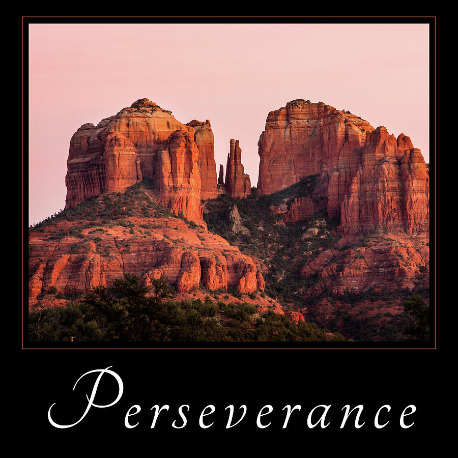 Perseverance Photograph by Mary Jo Allen