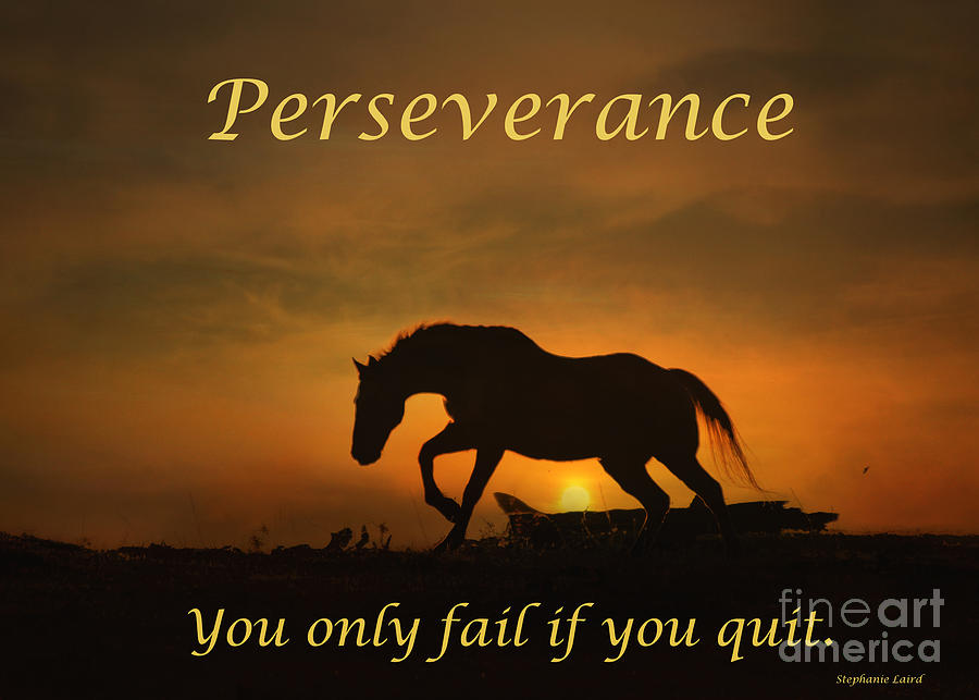 Image result for perseverance