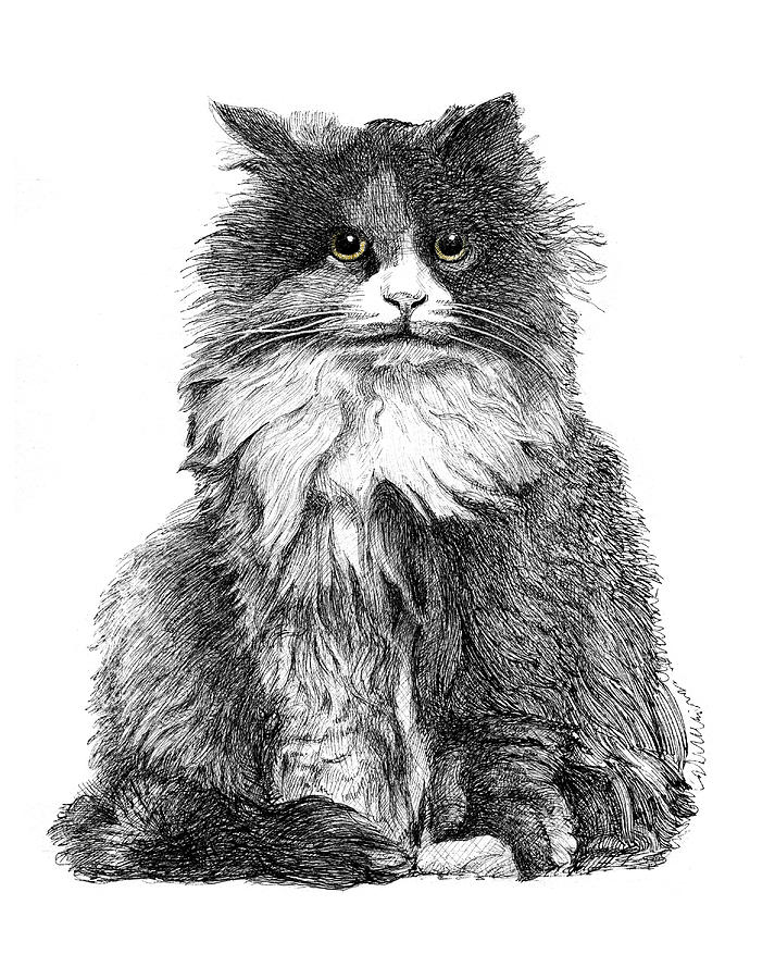 Графический рисунок кошка