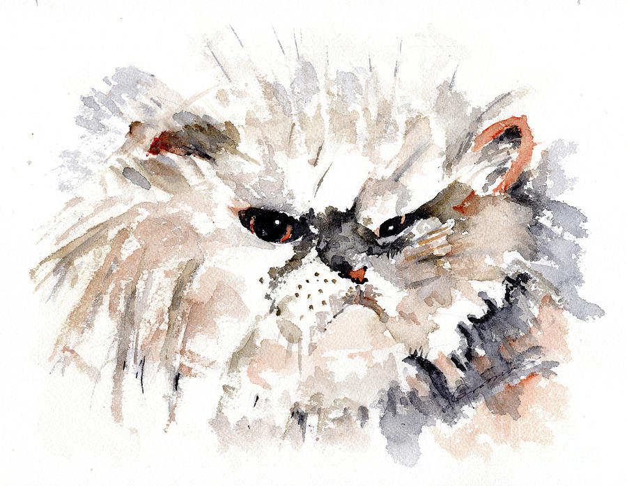 Persian Cat by Claudia Hafner Persian Cat by Claudia Hafner