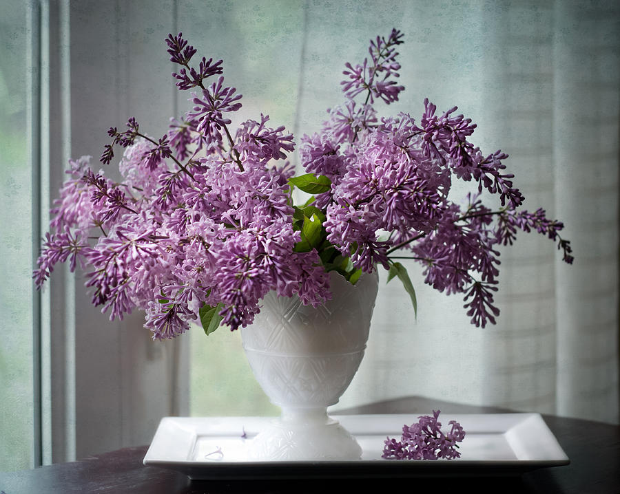 Persian Lilacs by the Window Photograph by Maggie Terlecki - Fine Art ...