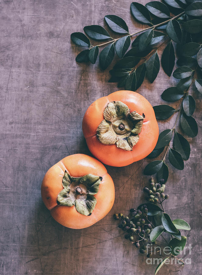 Persimmon Photograph by Andrea Anderegg