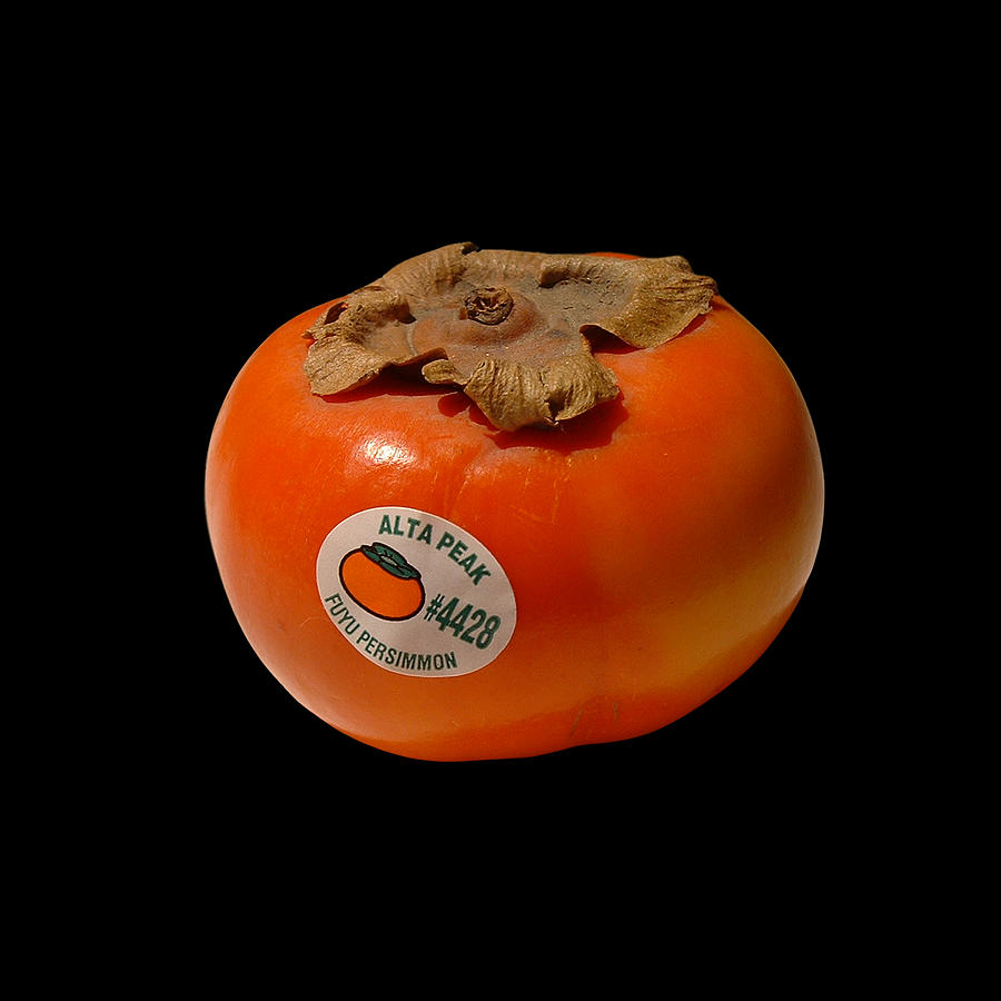 Persimmon Semiology Photograph by Stan  Magnan