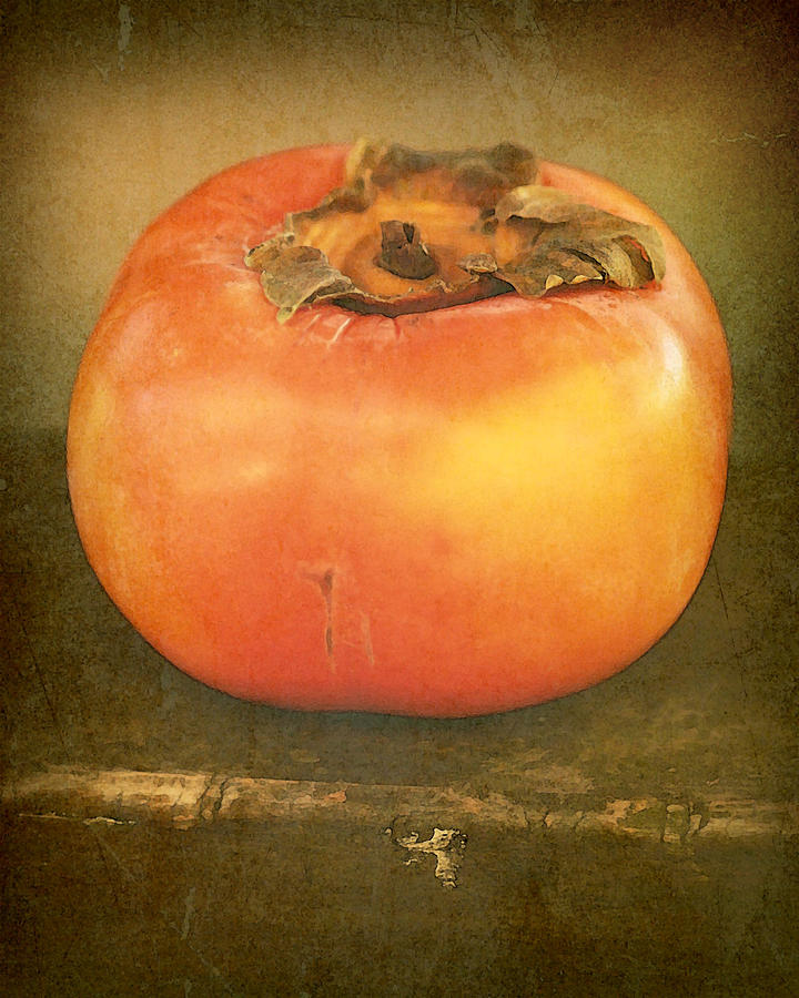 persimmon V Photograph by Amy Neal