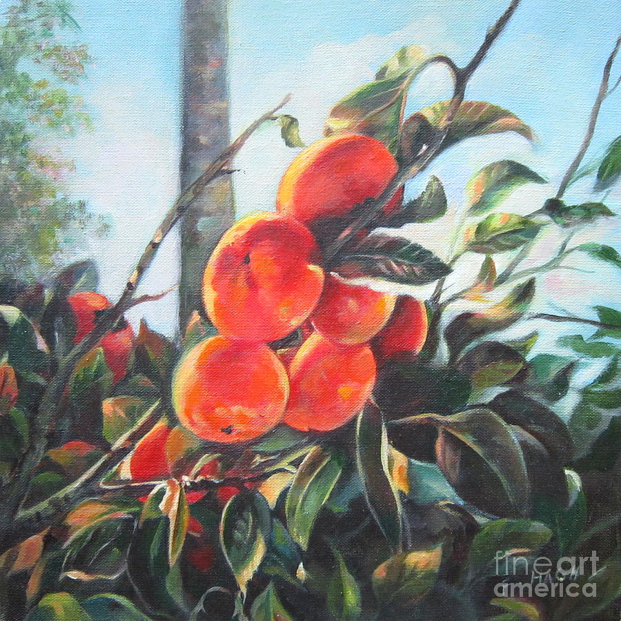 Impressionism Painting - Persimmons by Farideh Haghshenas