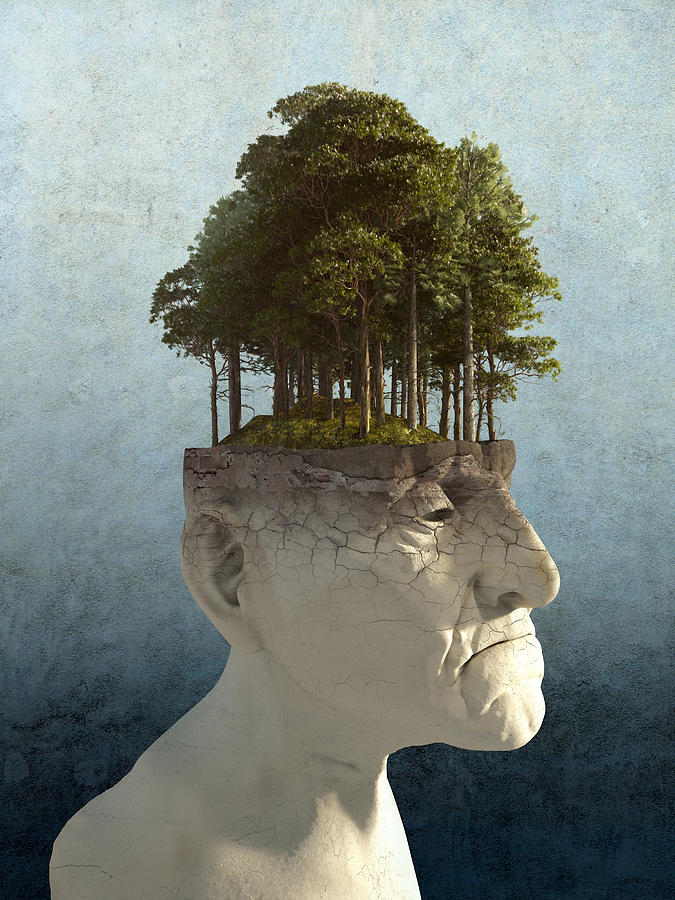 Personal Growth Digital Art by Cynthia Decker