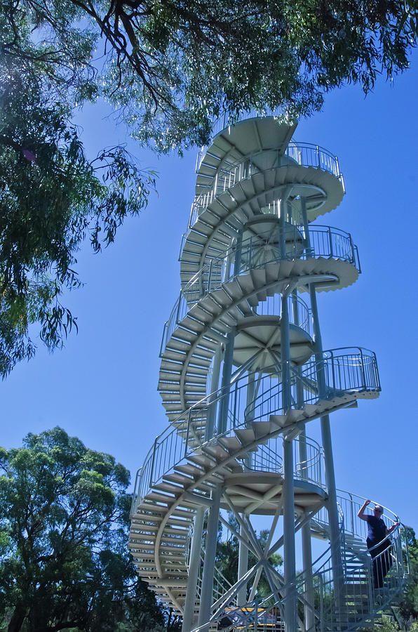 Perth Kings Park Double Helix DNA Tower  Photograph by Harry Strharsky