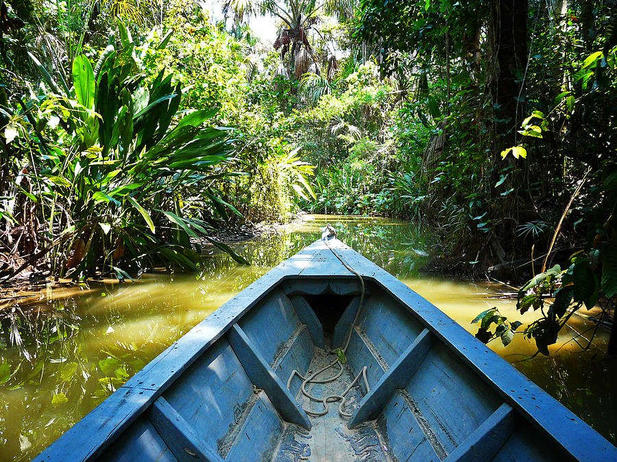 Peru Amazon Boat Photograph by Photo, David Curtis