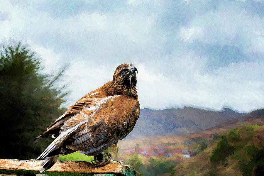 Peruvian Bird Photograph by Maria Coulson