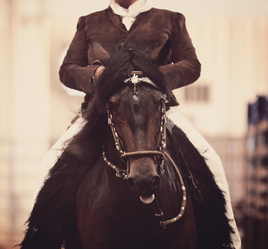 Peruvian Horse Rider Photograph by Toni Hopper