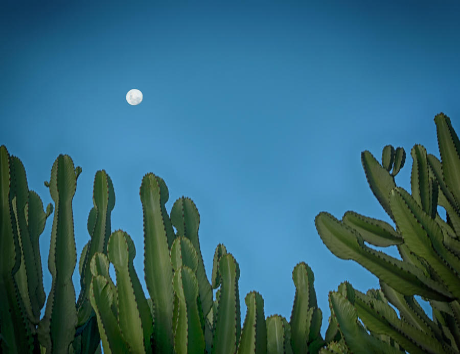 Peruvian Moon Photograph by Jessica Levant