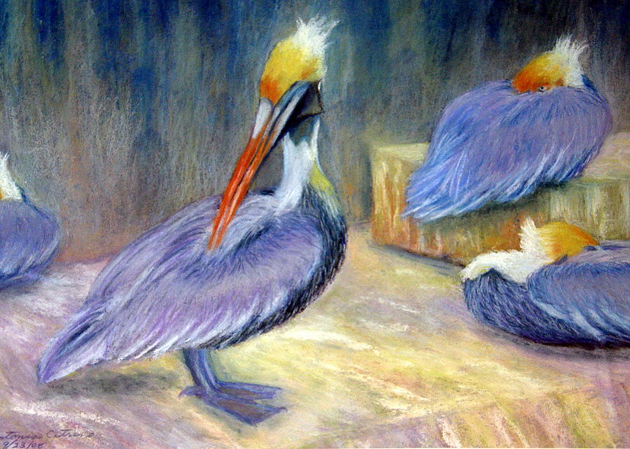Pelican Pastel - Peruvian Pelicans One  Pastel by Antonia Citrino