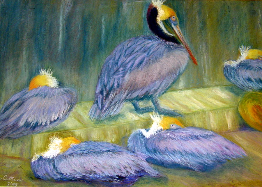 Peruvian Pelicans Two Pastel Pastel by Antonia Citrino