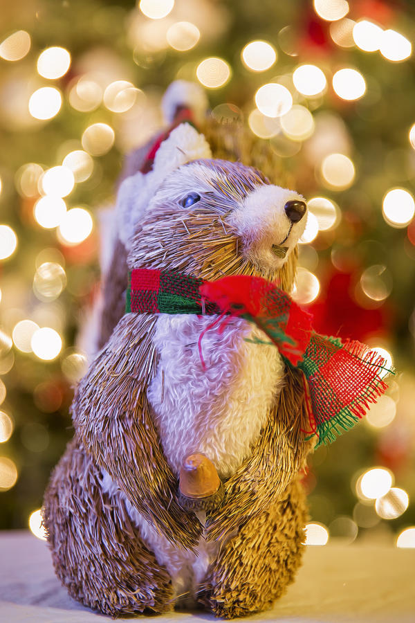 Pervy Christmas Squirrel Photograph by Bill and Linda Tiepelman