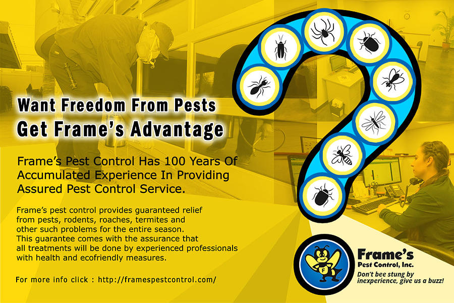 Pest Control Photograph by BJ Gall Fine Art America