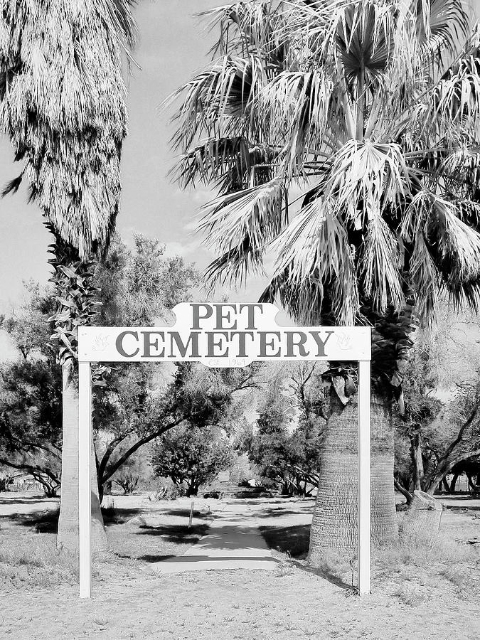Pet Cemetery Photograph by Dominic Piperata