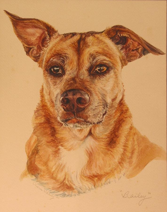 Pet Portrait Bailey Painting by Cherie Sikking - Fine Art America