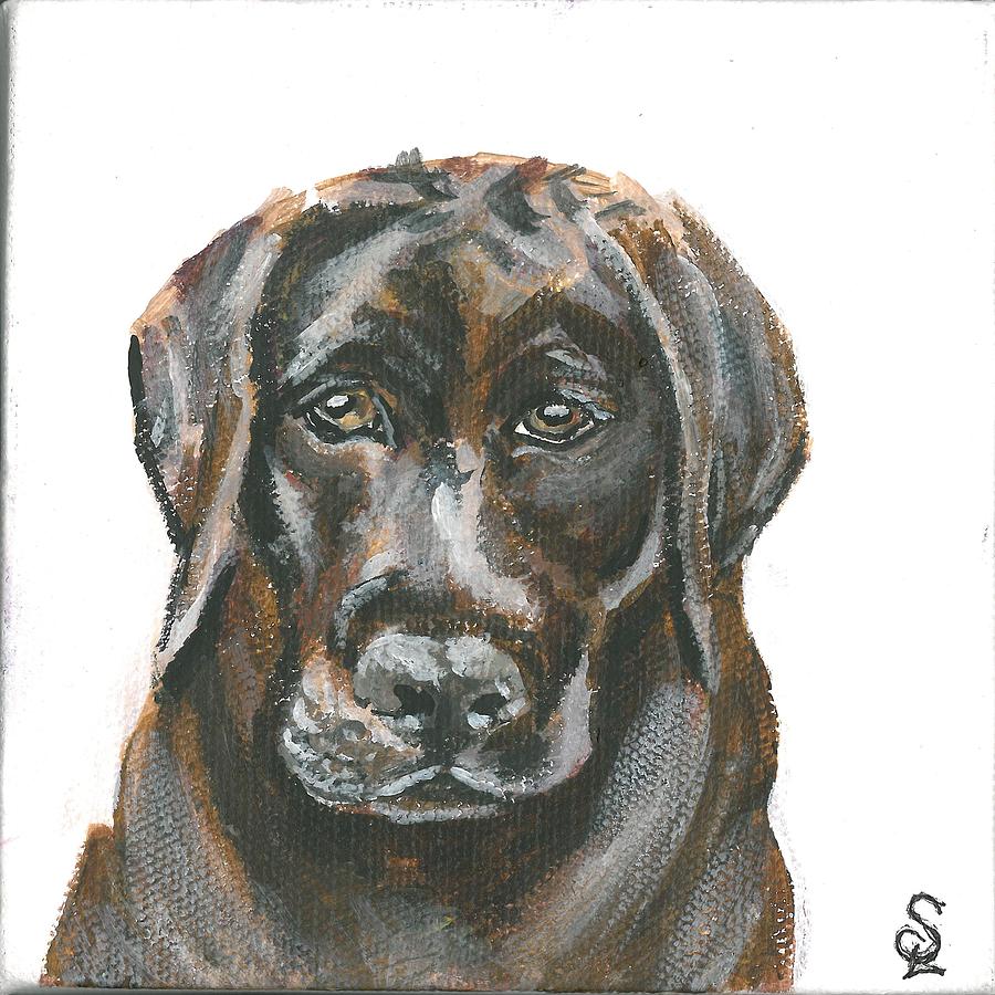 Pet Portrait - Choc Lab by Sarah Lowe Pet Portrait - Choc Lab by Sarah Lowe
