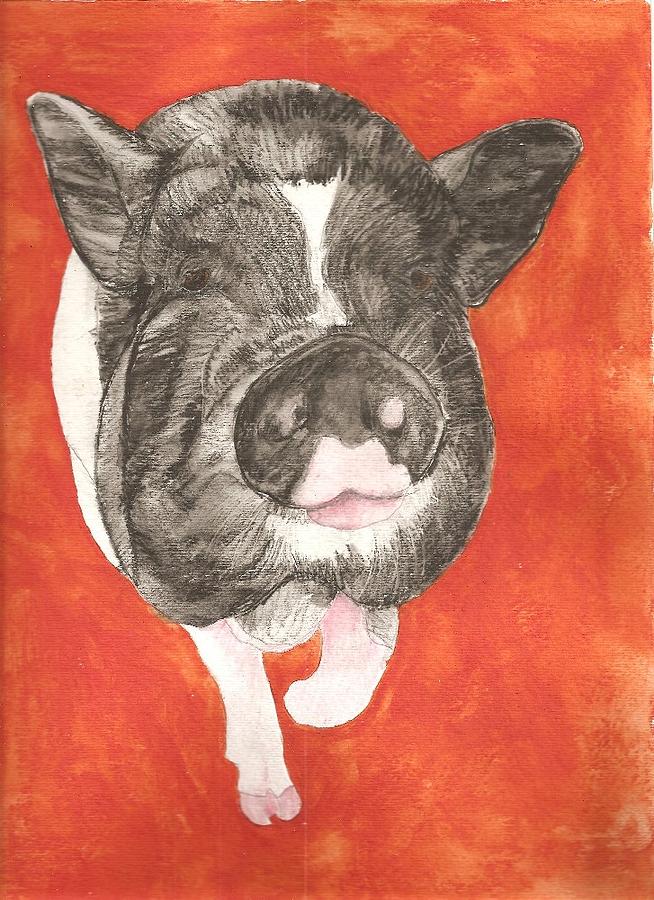 Pig Painting - Pet Portrait Origianl Watercolor by Pigatopia by Shannon Ivins
