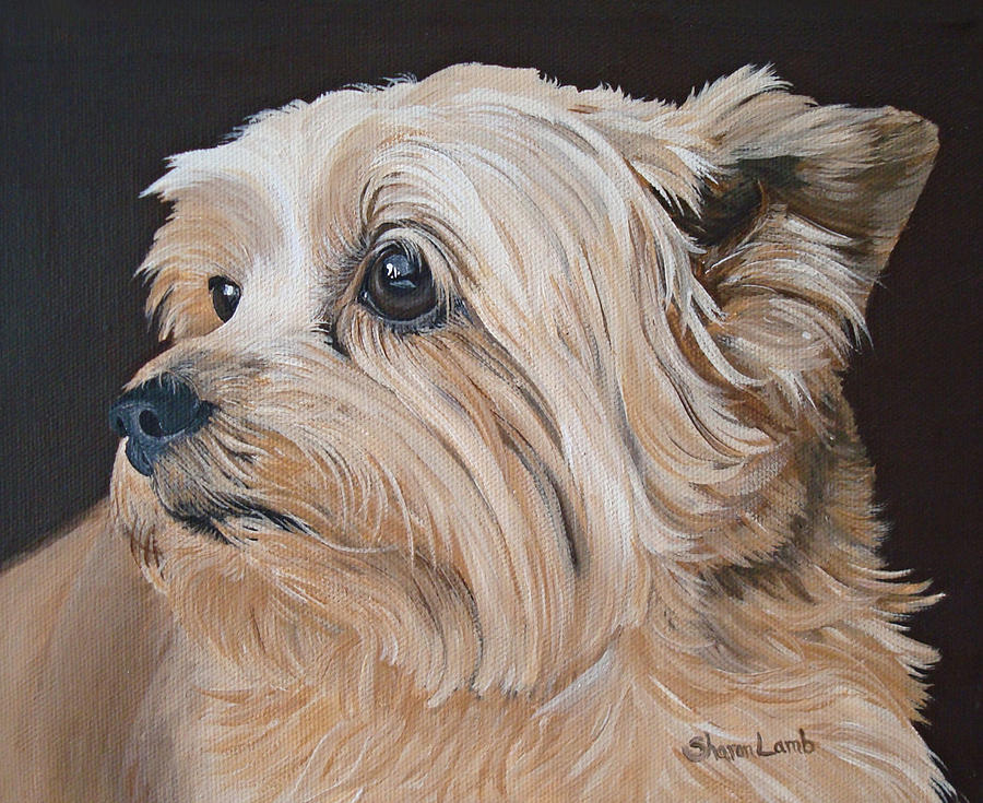 Cairn Terrier Dog 11x14 signed art PRINT painting RJK    