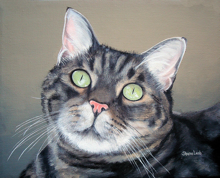 Pet Portrait Painting Commission Tiger cat Painting by Sharon  Lamb