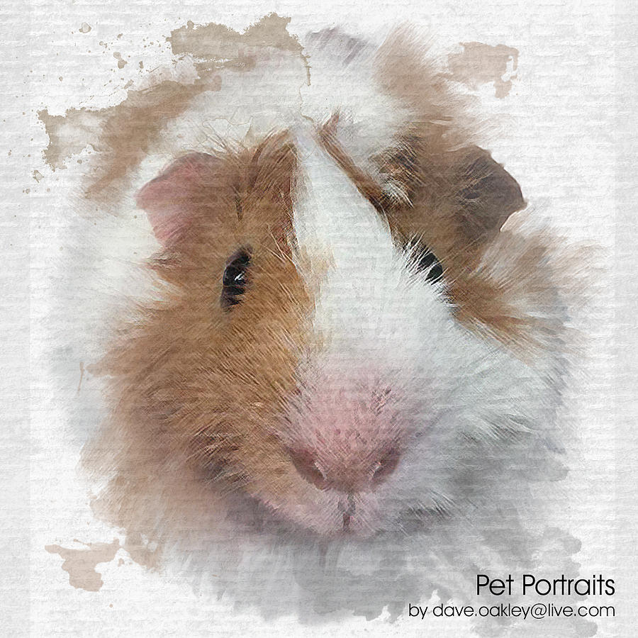 Pet Portraits Painting by David Oakley - Pixels
