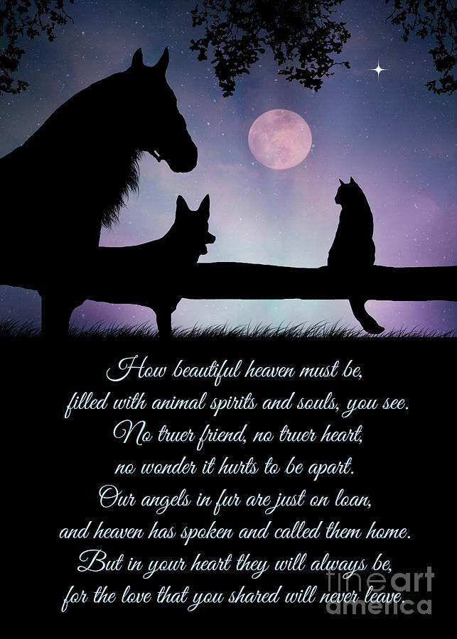 Pet Sympathy Heaven Memorial Poem for Bereavement  Photograph by Stephanie Laird