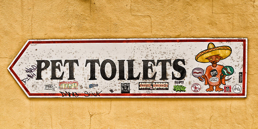 Pet Toilets Photograph by Cindy Archbell