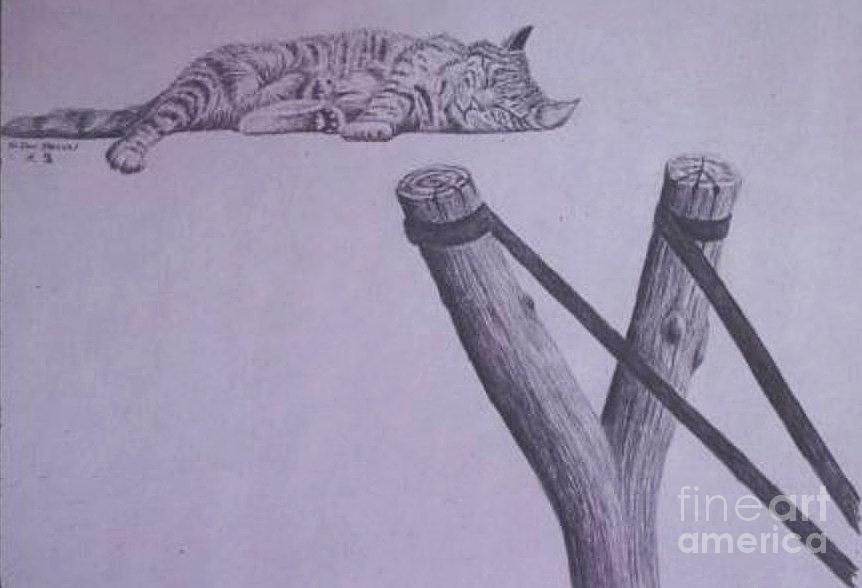 Cat Drawing - PETA Kitty by Dan Hausel Cat Drawing - PETA Kitty by Dan Hausel