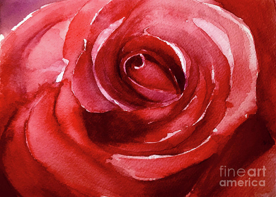 Rose Painting - Petals by Allison Ashton
