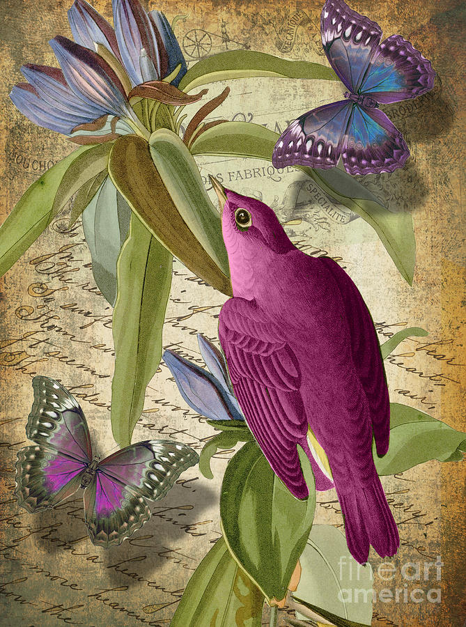 Bird Painting - Petals and Wings I by Mindy Sommers