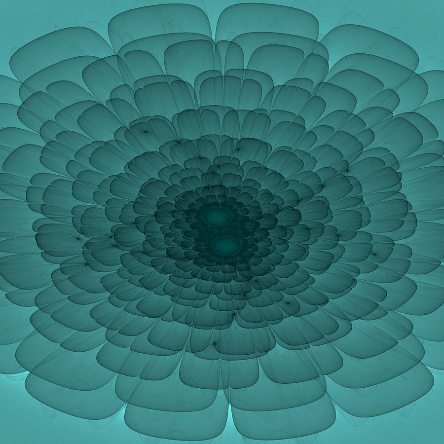 Petals in Teal Photograph by Lena Photo Art