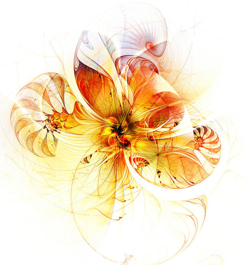 Petals of Gold Digital Art by Amanda Moore